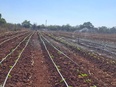 Farm for sale in Cullinan Rural, Cullinan