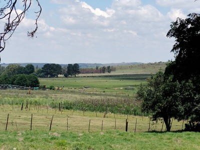 Farm for sale in Balmoral, Witbank